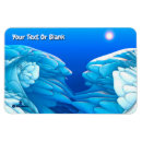 Search for frozen magnets White