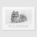 Search for veterinary nurse cards Pet