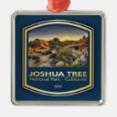 Search for rock climbing christmas tree decorations California