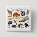 Search for mammals square badges Wildlife
