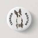 Search for boston terrier badges Illustration