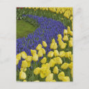 Search for jone postcards Blue