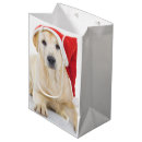 Search for labrador gift bags Pet