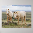 Search for roaming posters Farm