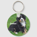 Search for bernese mountain dog key rings Puppy