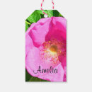 Search for bible verses gift tags Christian