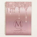 Search for glitter planners Blush pink