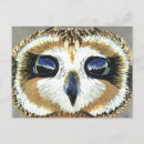 Search for little owl postcards Nature