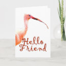 Search for beak cards Bright