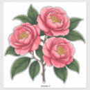 Search for camellia Plant