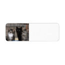 Search for adoption return address labels Cats