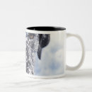 Search for viewpoints mugs Outdoors