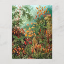 Search for ernst postcards Biology
