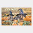 Search for weiner stickers Cute