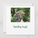 Search for heron cards Nature