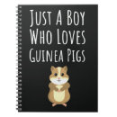 Search for cute pig baby kids Back to school