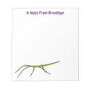 Search for insect notepads Cartoon