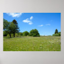 Search for meadows posters Idyllic