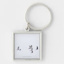 Search for around the world key rings Nature