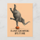 Search for orange basketball cards Funny