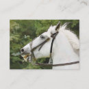 Search for equine business cards Watercolor