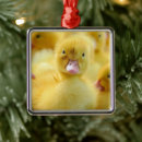 Search for duckling christmas tree decorations Animal