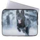 Search for my german shepherd electronics Animal