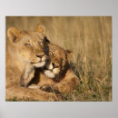 Search for game reserve art Wildlife