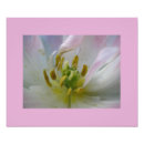 Search for stamen posters Garden