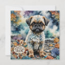 Search for brussels cards Cute
