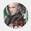 Search for draco magnets Deathly hallows