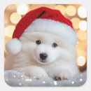 Search for samoyed stickers Merry christmas