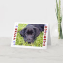 Search for black lab christmas cards Puppy