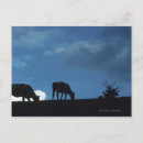 Search for two sided horizontal postcards Outdoors