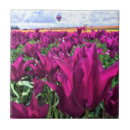 Search for dreams tiles Field