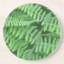 Search for green fern coasters Nature