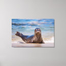 Search for seals canvas prints Mammal