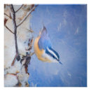 Search for nuthatch posters Songbird