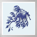 Search for sea dragon posters Ocean