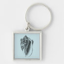 Search for conch shell key rings Nature