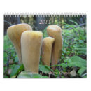 Search for flora calendars Forest