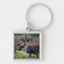 Search for bull key rings Fauna