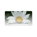 Search for daisy flowers return address labels White