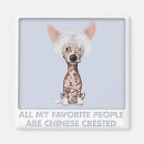 Search for chineses magnets Pet