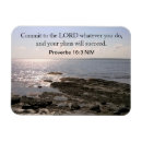 Search for successful magnets Encouragement