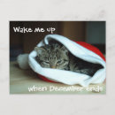 Search for grumpy cat christmas cards Cats