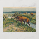 Search for hinds postcards Stag