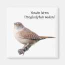 Search for wren magnets Nature