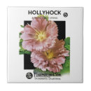 Search for hollyhock tiles Garden