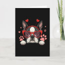 Search for boston terrier valentine Roses